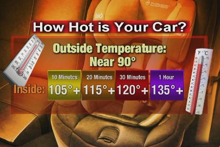 Pictures showing dangerous temperatures in car without tint